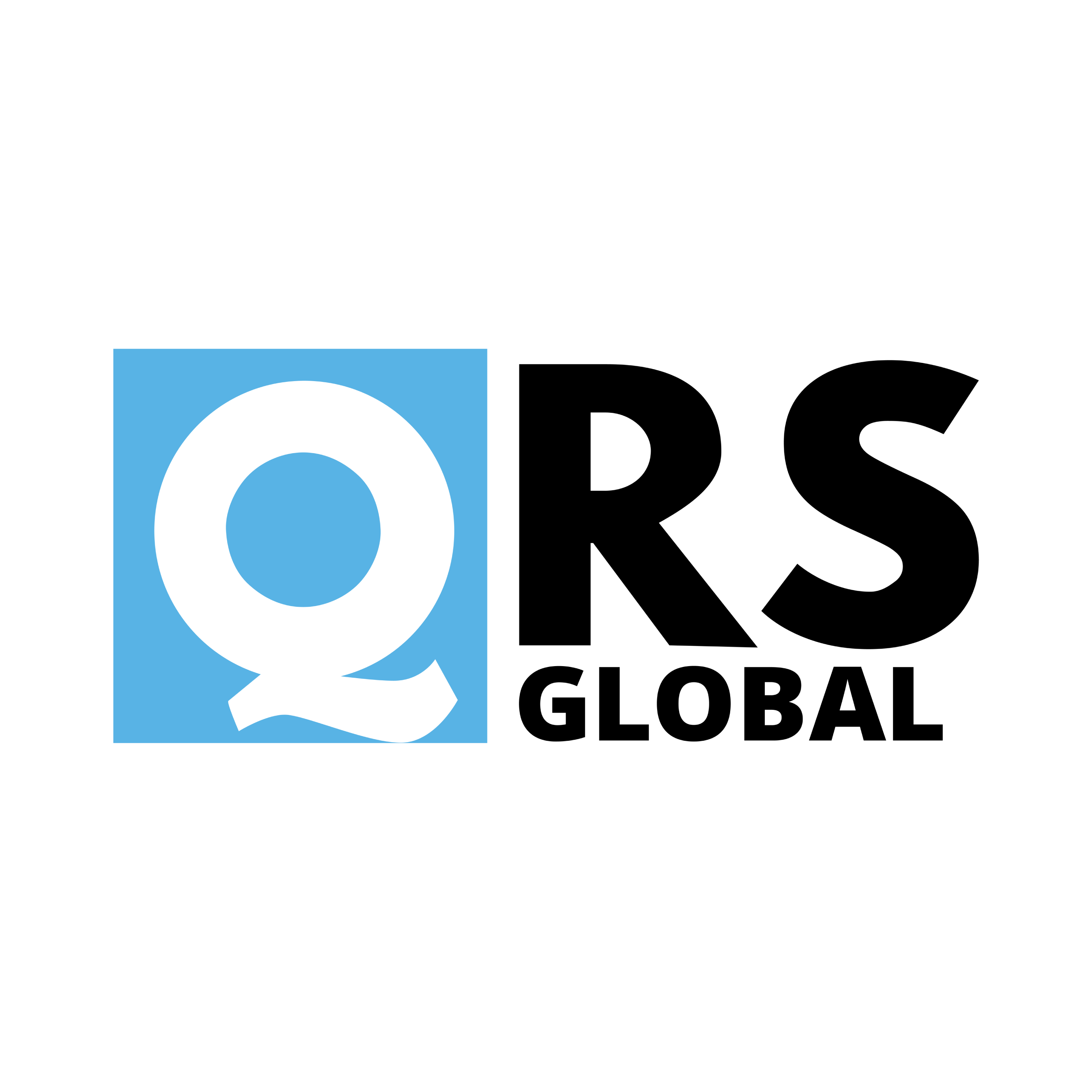 QRS Global