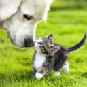 Company profile image