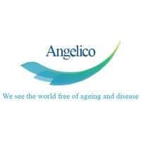 Company profile image