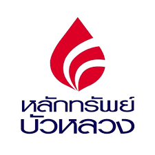 Company profile image