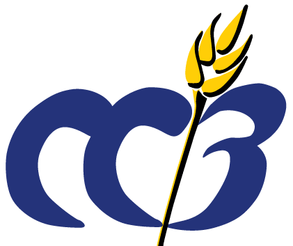 Company profile image