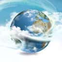 Company profile image