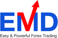 Company profile image