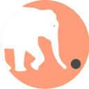 Company profile image