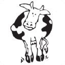 Company profile image