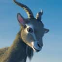 Company profile image