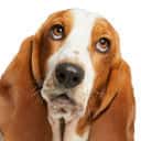 Company profile image