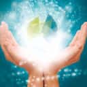 Company profile image