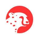 Company profile image