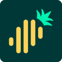 Company profile image