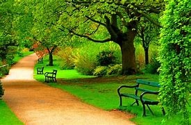 User cover